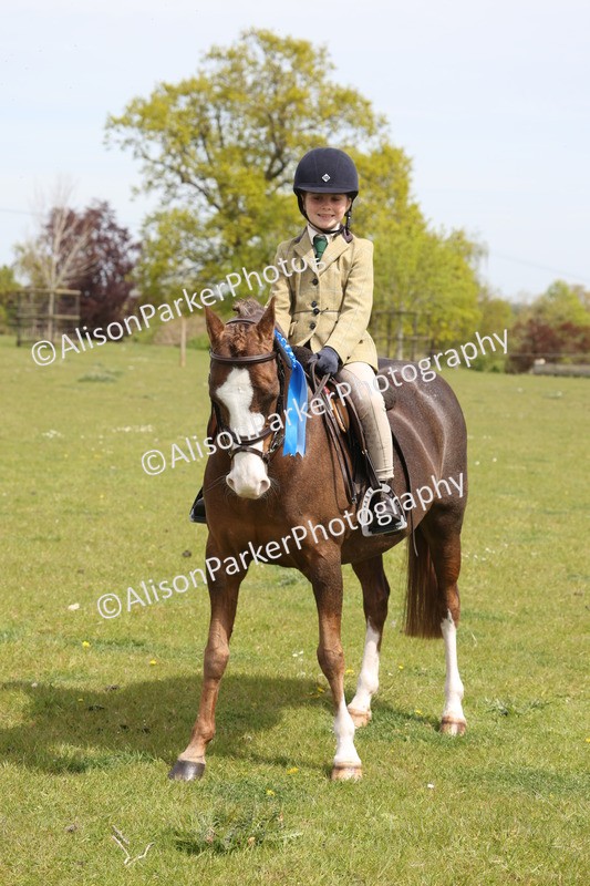 20260426-4010 - Class 33 - Best Pony 14.2hh and Under