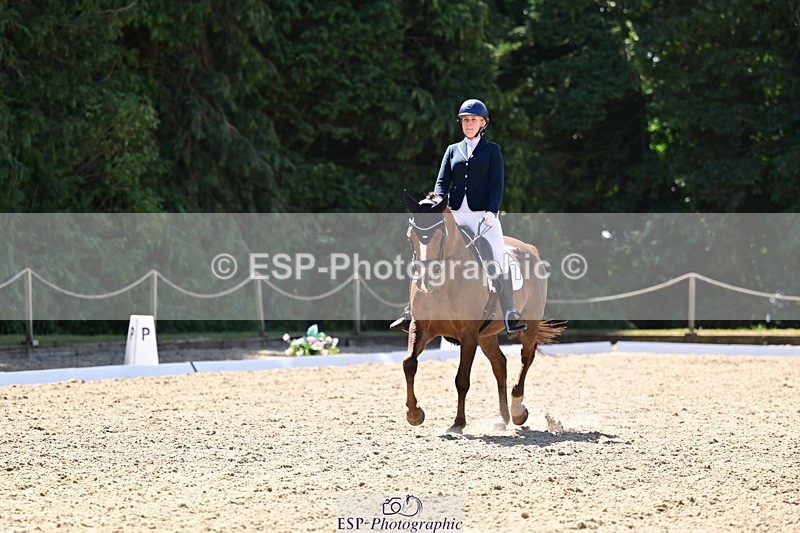 260731A-112259-00317 - Elementary Bronze 10.30 - Break