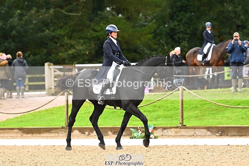 231021-115011-14998 - 343-MIDNIGHT.ROLLERCOASTER-Alison.Lidstone-DR