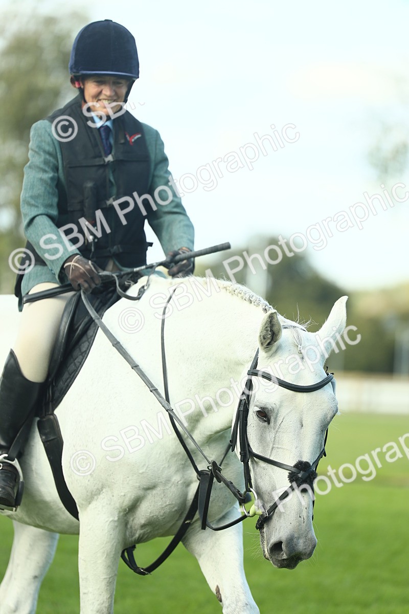 SBM_50610 - S33 - Working Hunter & Working Show Horse