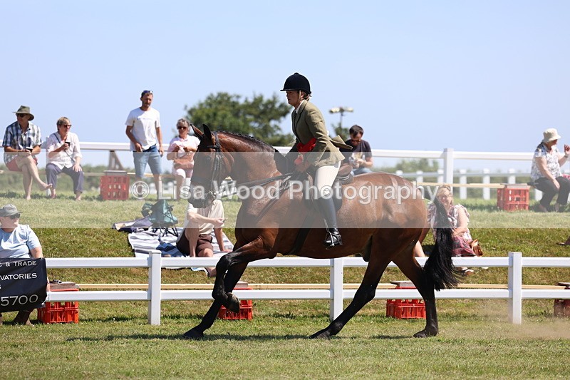 3E7A7546 - Rising Star Ridden Championship