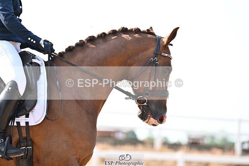 250815-095938-00251 - 026-Pippa.MorganDavinci.Vl