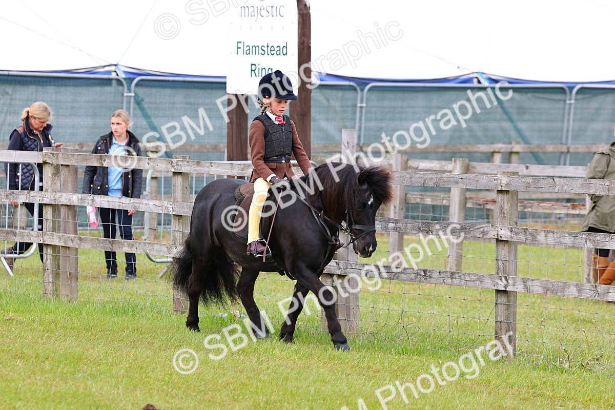 SBM_08487 - Class 42-43 - LIHS BSPS Heritage Working Sports Pony