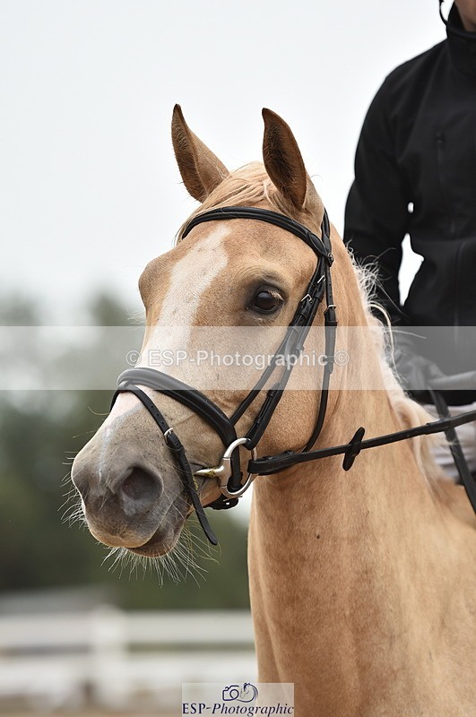 220829A-171604-00394 - 80cm Classes 5a 5b & 6