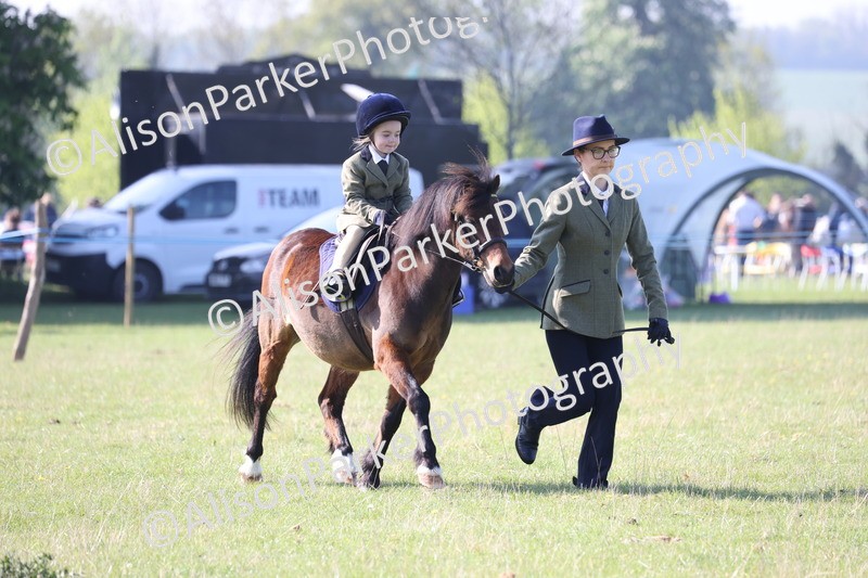 20250427-0143 - Class 30 - Tiny Tots Lead Rein