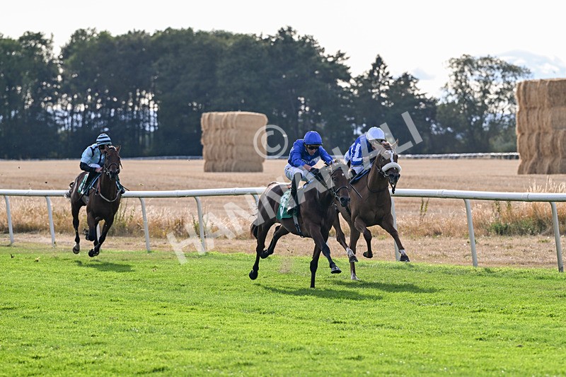 140826-Race 2-National Honour-0921 - Race 2 18.08pm JW 4x4 Northallerton Irish EBF Novice Stakes
