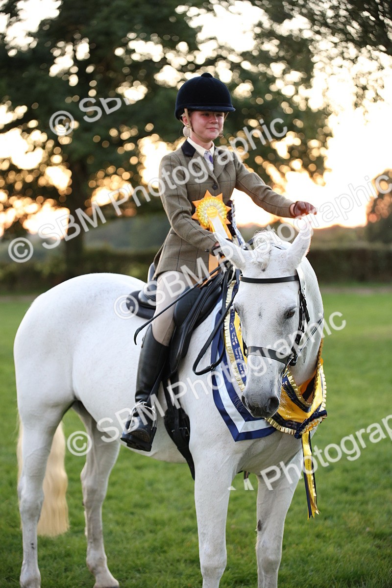 SBM_57123 - Super Supreme Championship