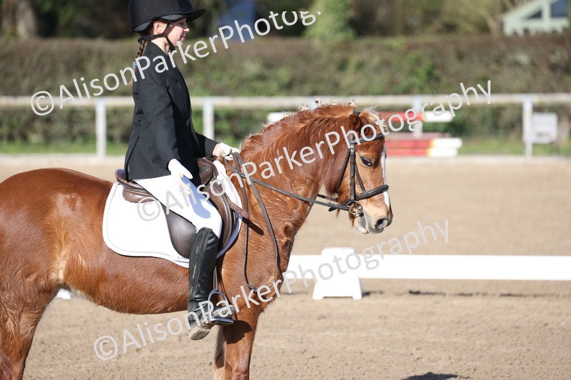 20260214-0375 - Class 4 - Novice 2