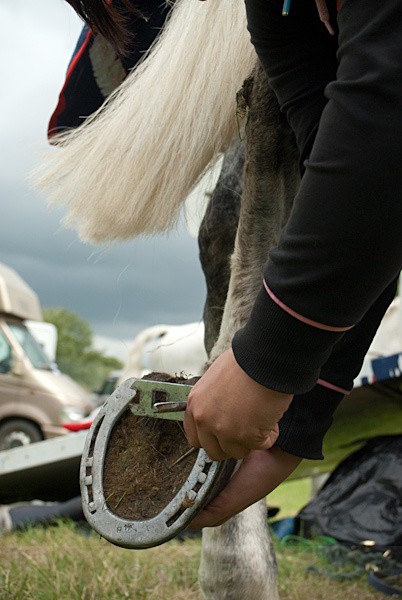 31 - Moniaive Horse Show 2010