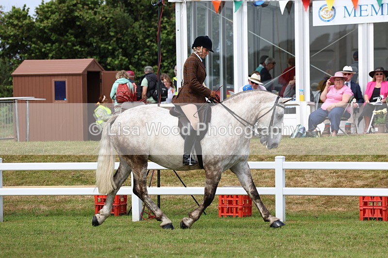 3E7A0264 - Class 6: Rising Star Maxi Cobs