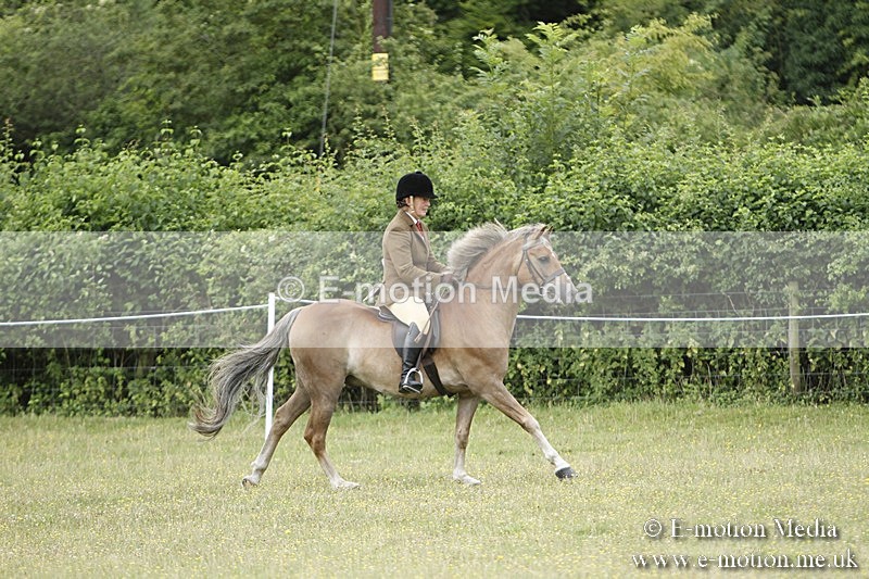 BVR160717-345 - Ring 3 BVRC Show 16/07/17