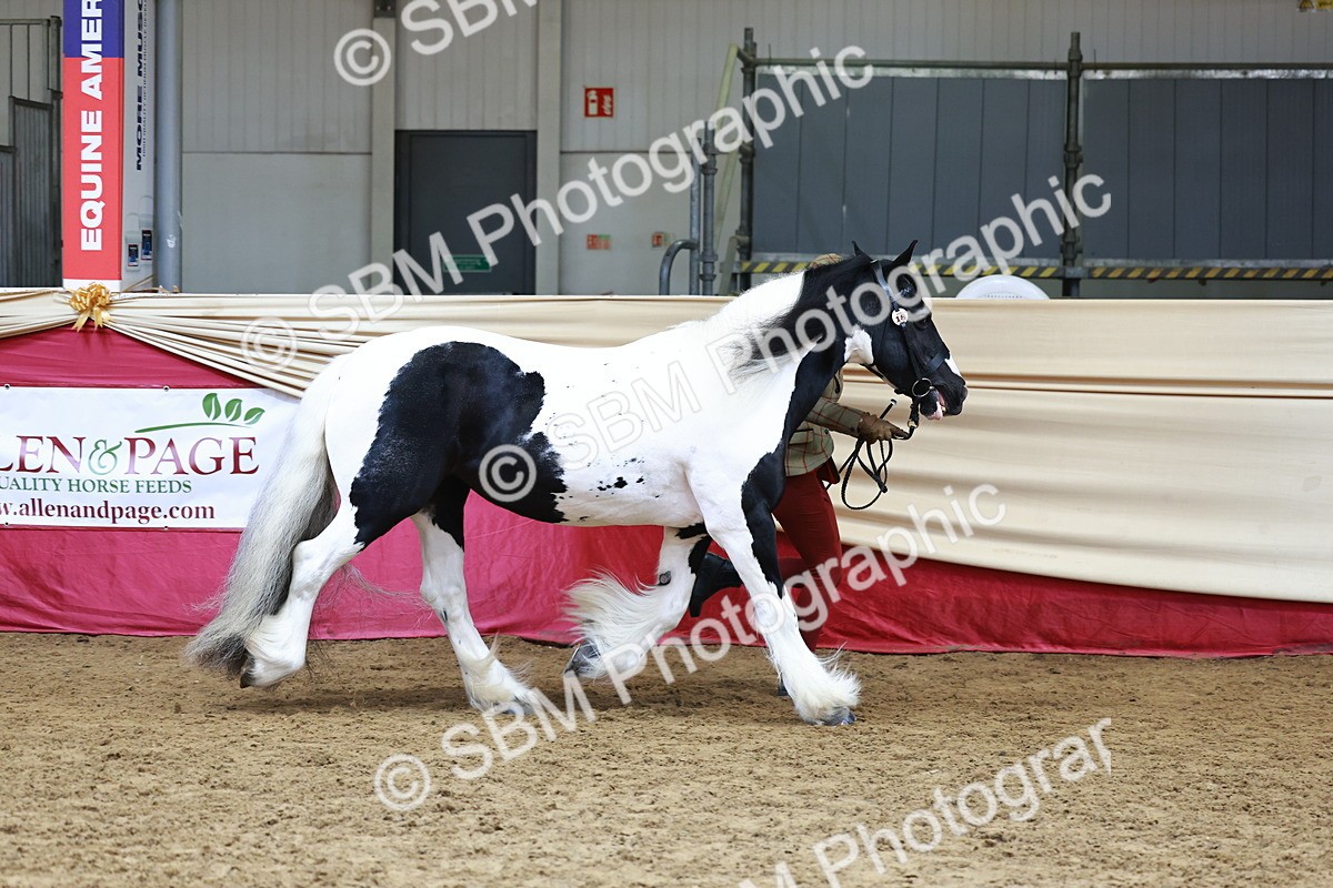 SBM_23180 - Class 903 - Supreme Final - IH Pre Vet