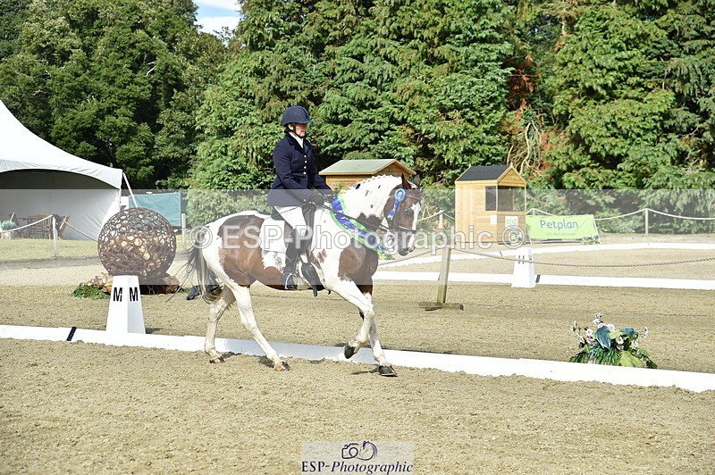 250720A-164014-12518 - Sunday Presentations