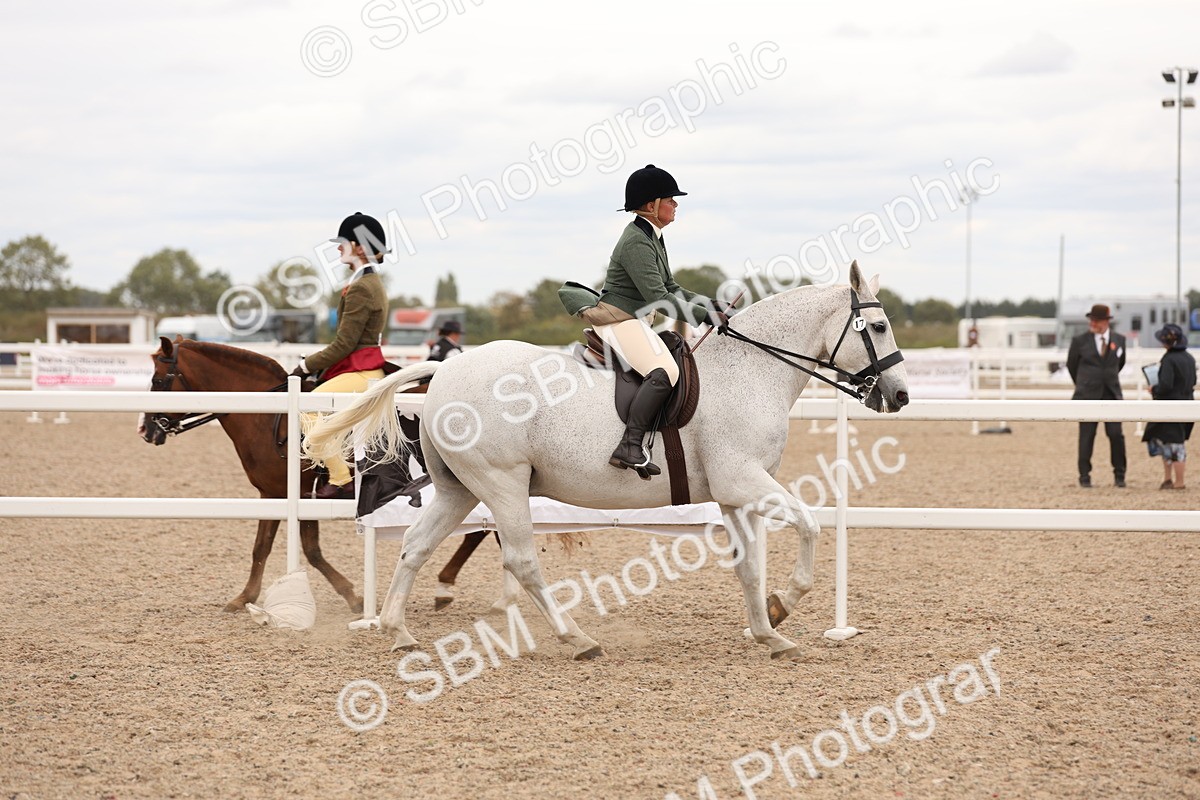 SBM_19538 - Class 215 - Ridden Show cob