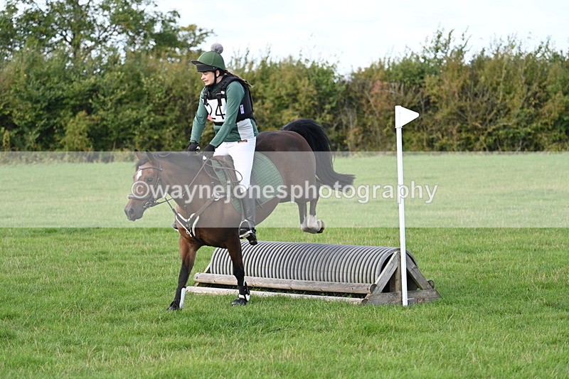 WJ7_9065 - Time 11:10 to 11:53