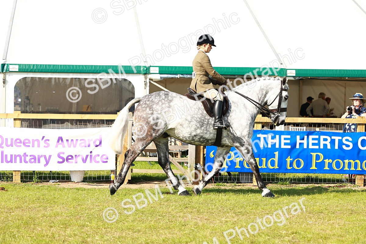 SBM_11746 - Class 66-69 - RIHS Ridden Hunters Inc Small Hunter