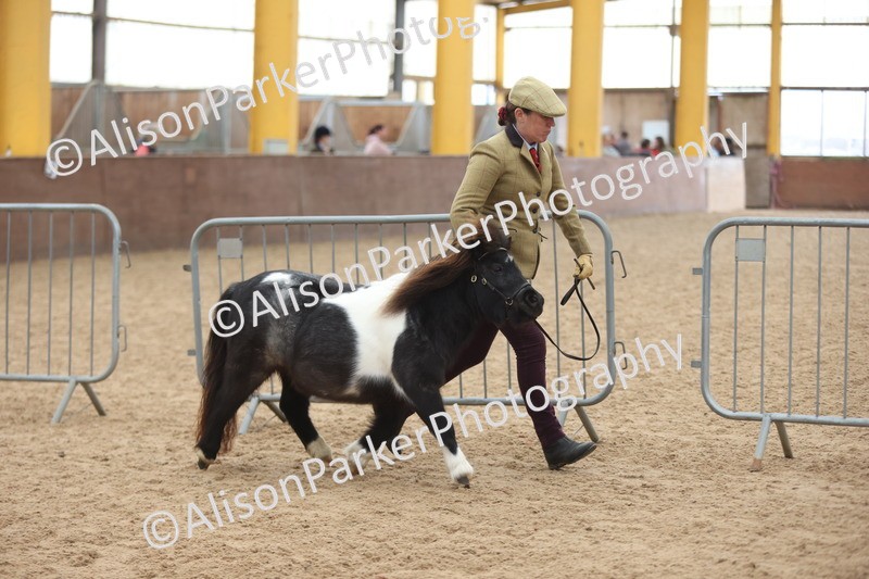 20251109-0221 - Class 11 - 2 and 3 Year Old