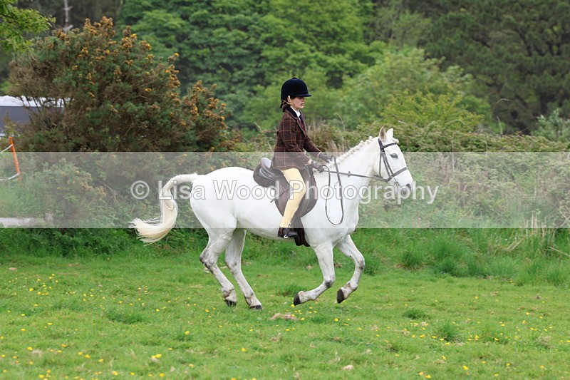 3E7A1759 - Class 9: Riding Club Horse/Pony