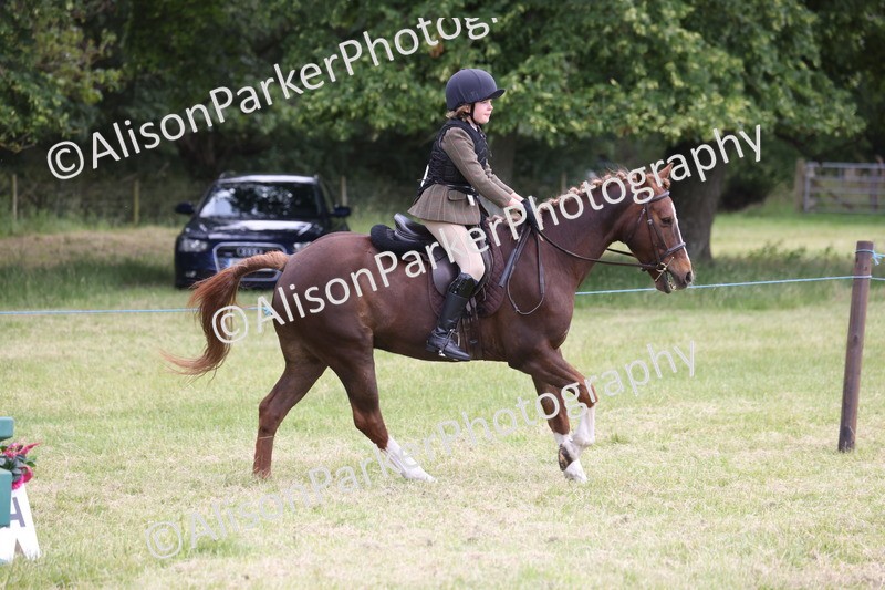 20260614-2758 - Class 22 - Open Working Hunter