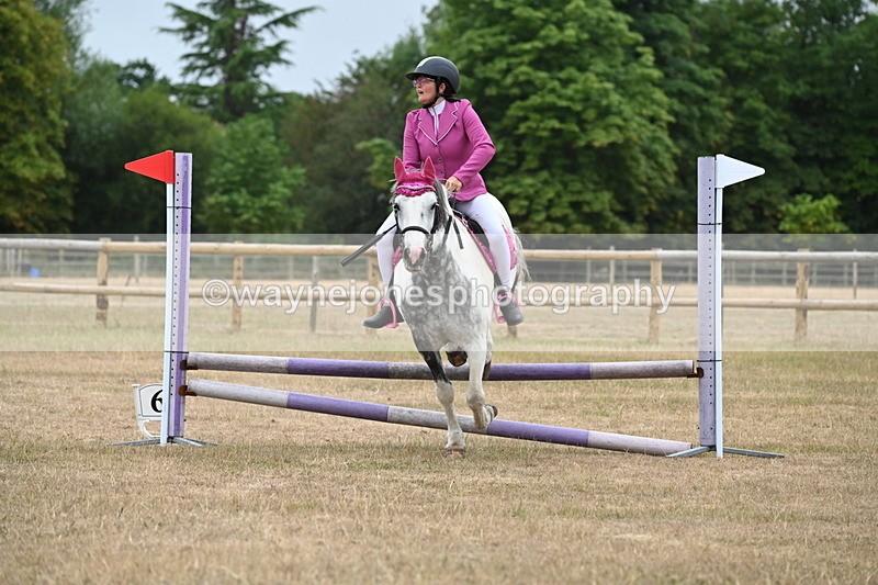 WJ6_0096 - Class 13 Novice Jumping 60cm