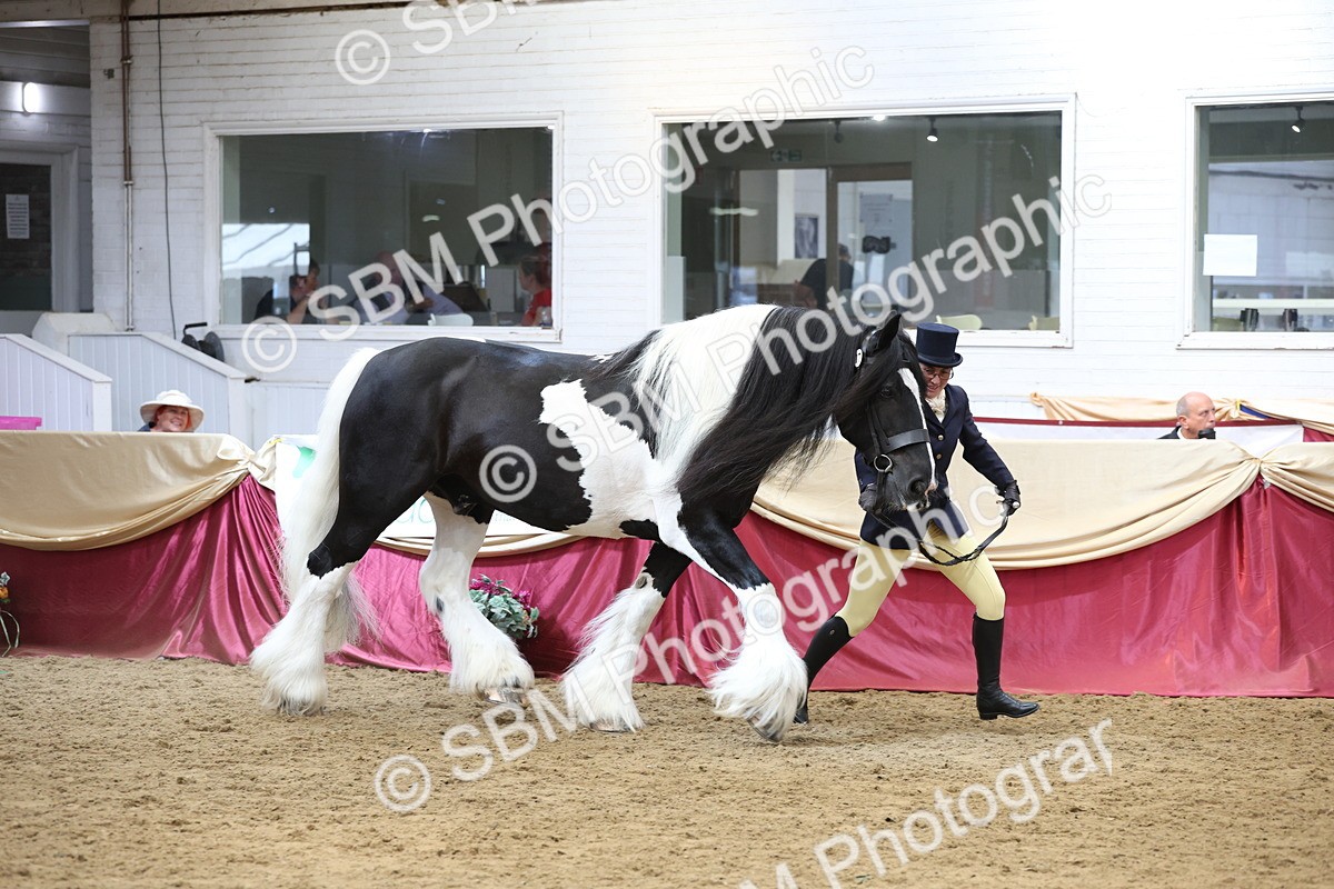 SBM_23680 - class 906 - Supreme Final - Ridden Pre Vet