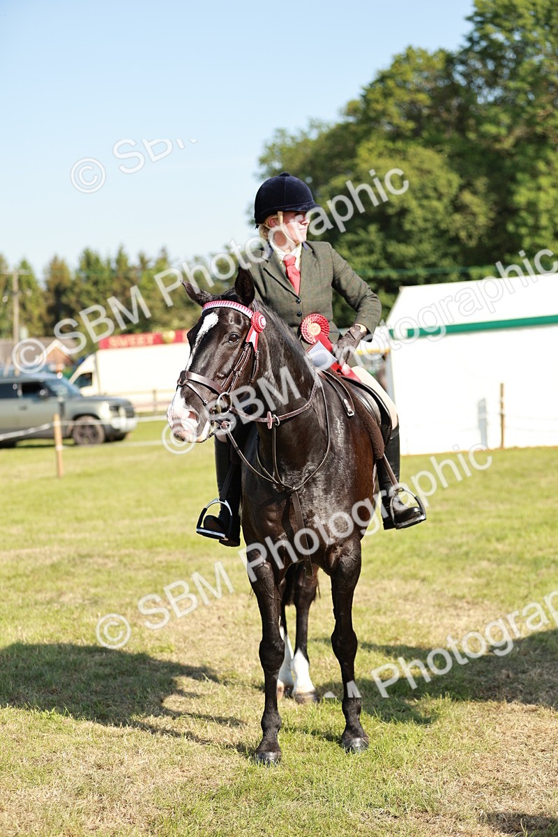 SBM_19319 - Class 115-116 - LIHS BSHA Rising Star Working Hunter & Show Horse