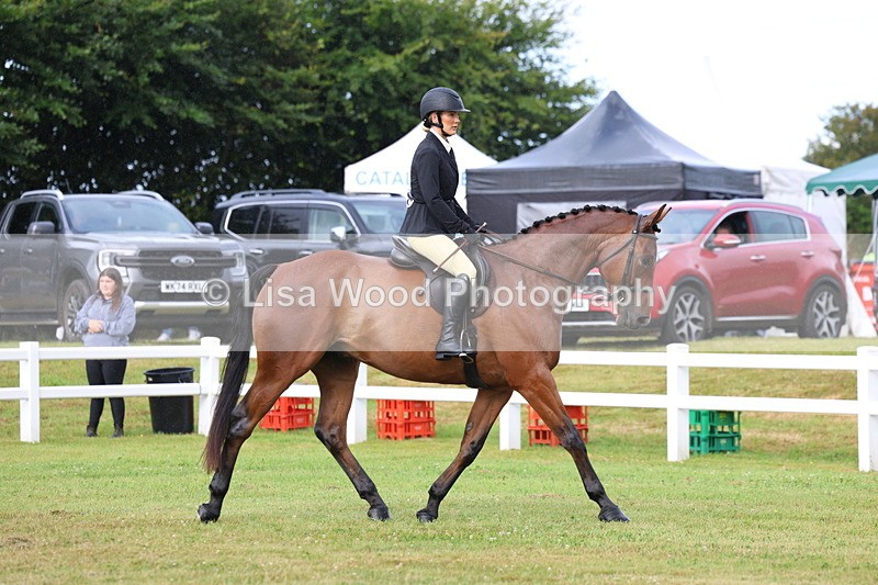 3E7A7996 - Class 2: Rising Star Large Hack/Riding Horse