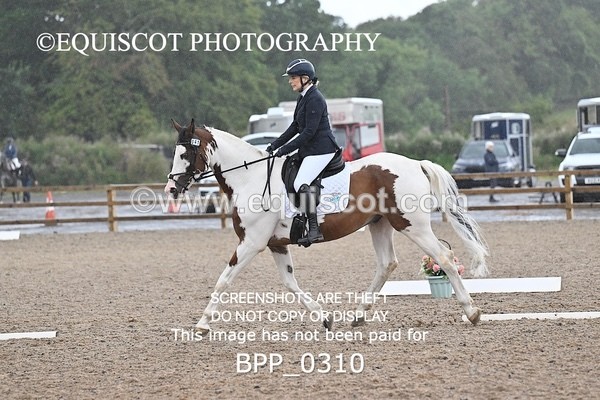 BPP_0310 - PRELIM 4