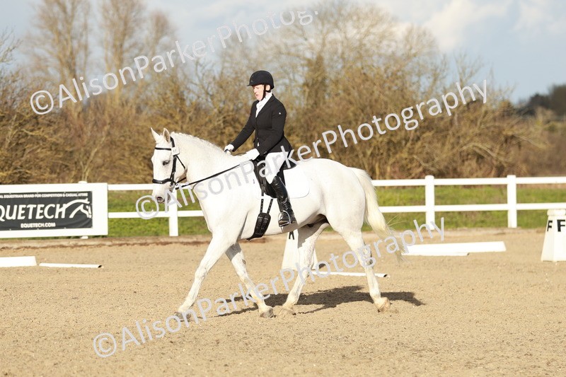 20260314-6261 - CT7 - Elementary 2