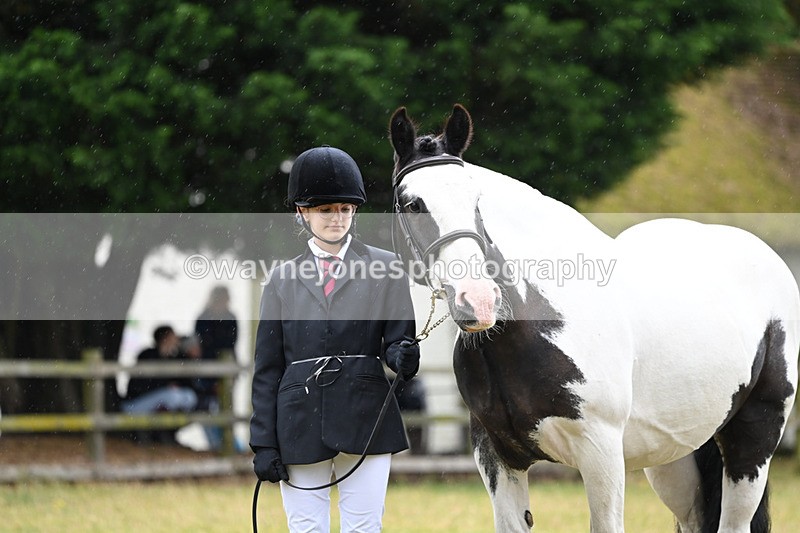 WJ6_8859 - Class 10 Coloured in-hand