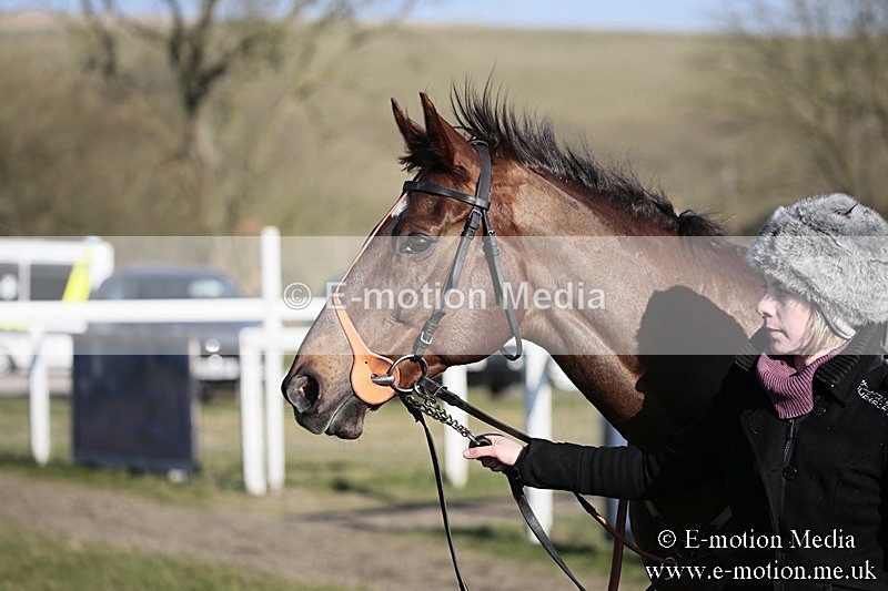 PtP 240218 564 - Vine & Craven Hunt Point-to-Point Barbury racecourse 24/02/18