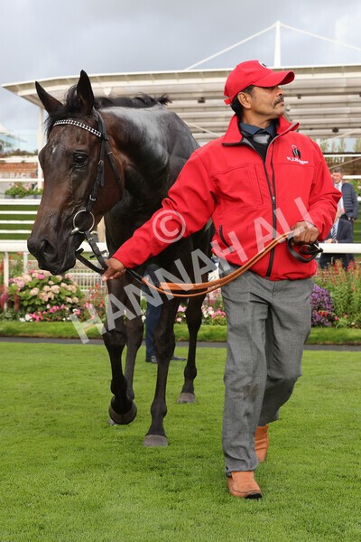 yr07102022r4-73 - Race 4 3.50pm William Hill Best Odds Guaranteed Stakes