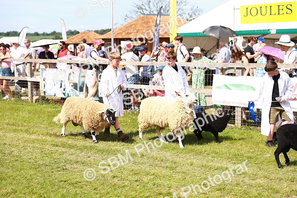 SBM_08297 - Grand Parade