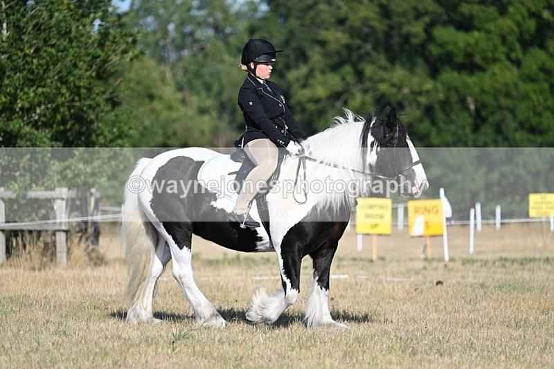 WJ7_8849 - Time 09:00 to 09:24