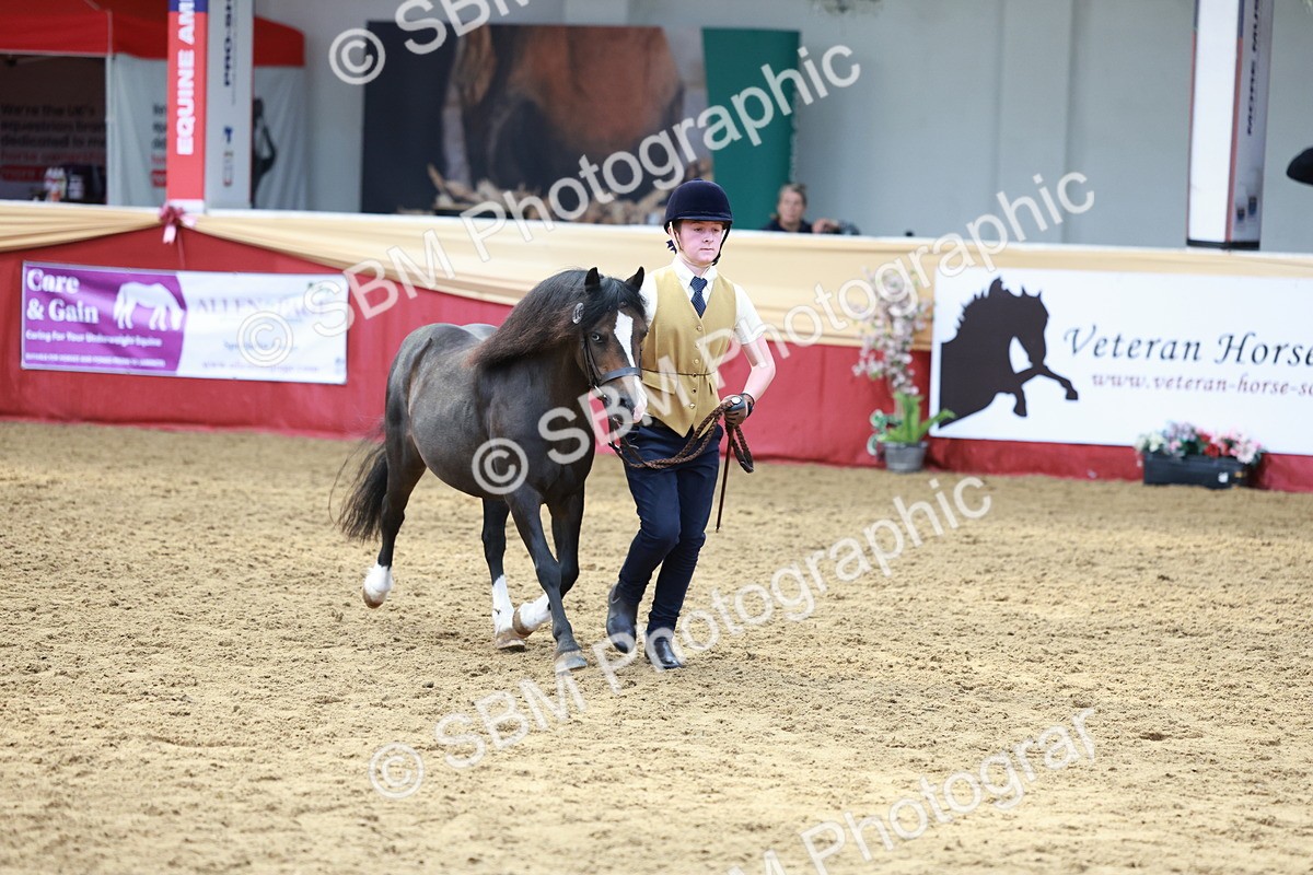 SBM_17370 - Class 951 - M&M IH Supreme Final