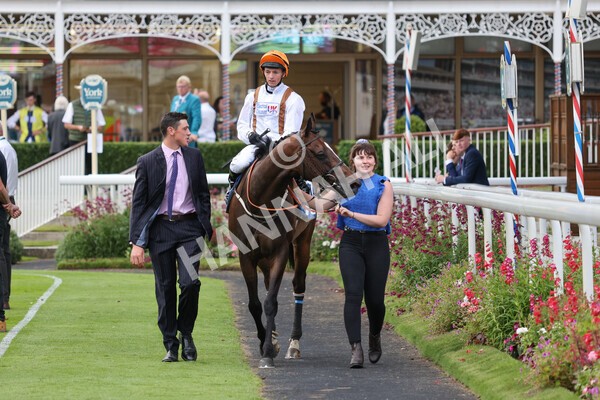 yr23072021r5-26 - Race 5 8.00pm Gallop Racing Stakes