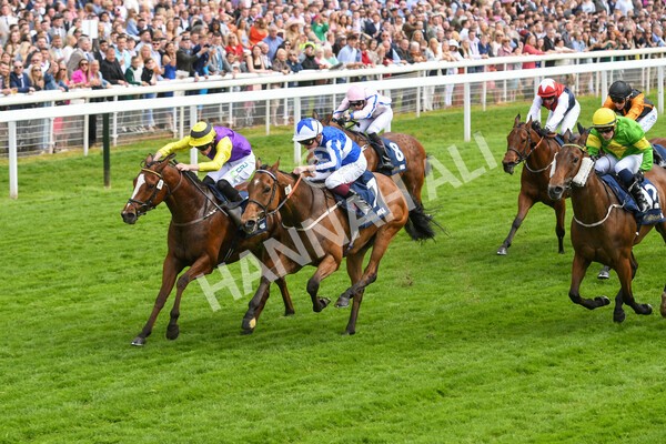 yr21052022r3-9 - Race 3: 3:30pm William Hill Best Odds Guaranteed Stakes