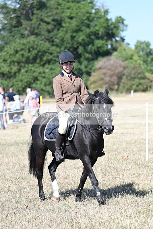 WJ7_3536 - Class 9 Mountain & Moorland Ridden