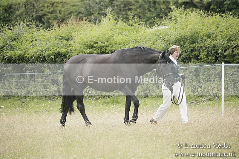 B230619-0563 - Bourne Valley Riding Club Summer Show 23/06/19