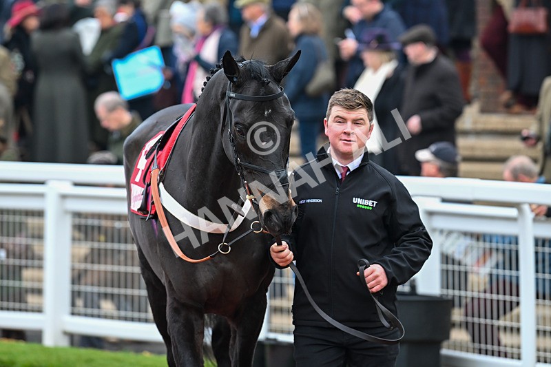 151124-Race 4-Paddock-Mister Coffey-7959 - Race 4
