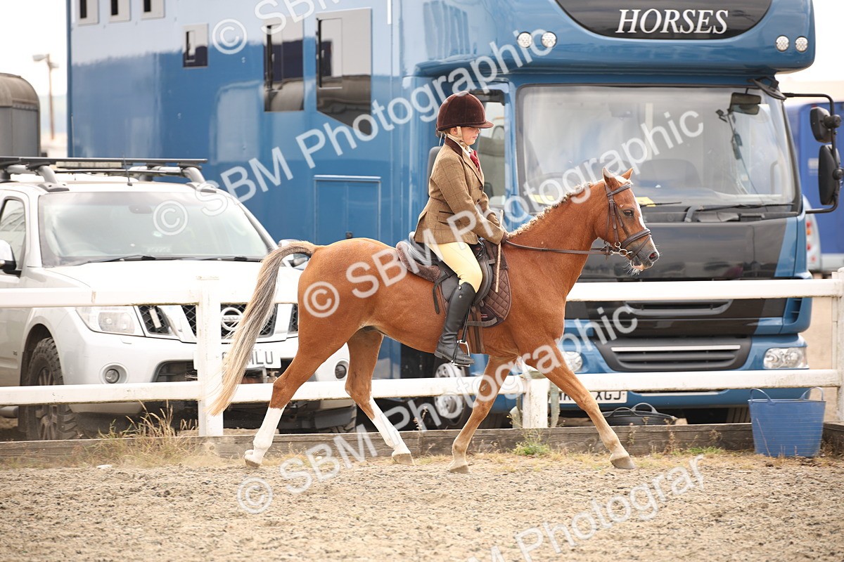 SBM_12631 - Class 405b - M&M Working Veteran 50cm 20+