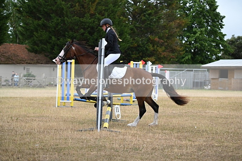 WJ6_0238 - Class 13 Novice Jumping 60cm