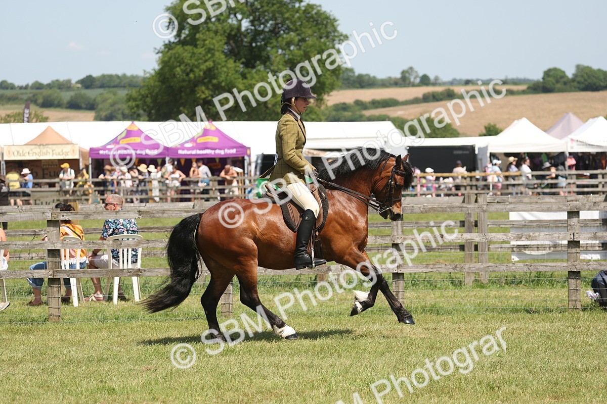 SBM_06924 - Class 26-30 - Mountain and Moorland Ridden