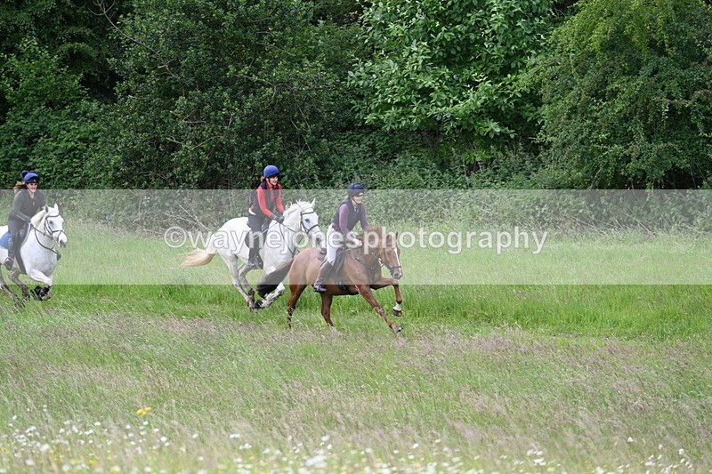 WJ7_8506 - Group 1 10am