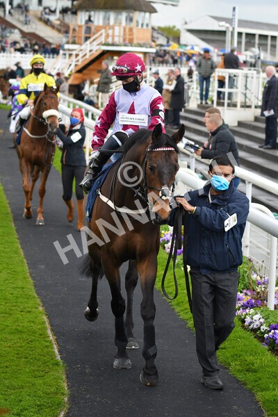 yr22052021r4-13 - Race 4 3.50pm WilliamHill.com Best Odds Guaranteed Stakes