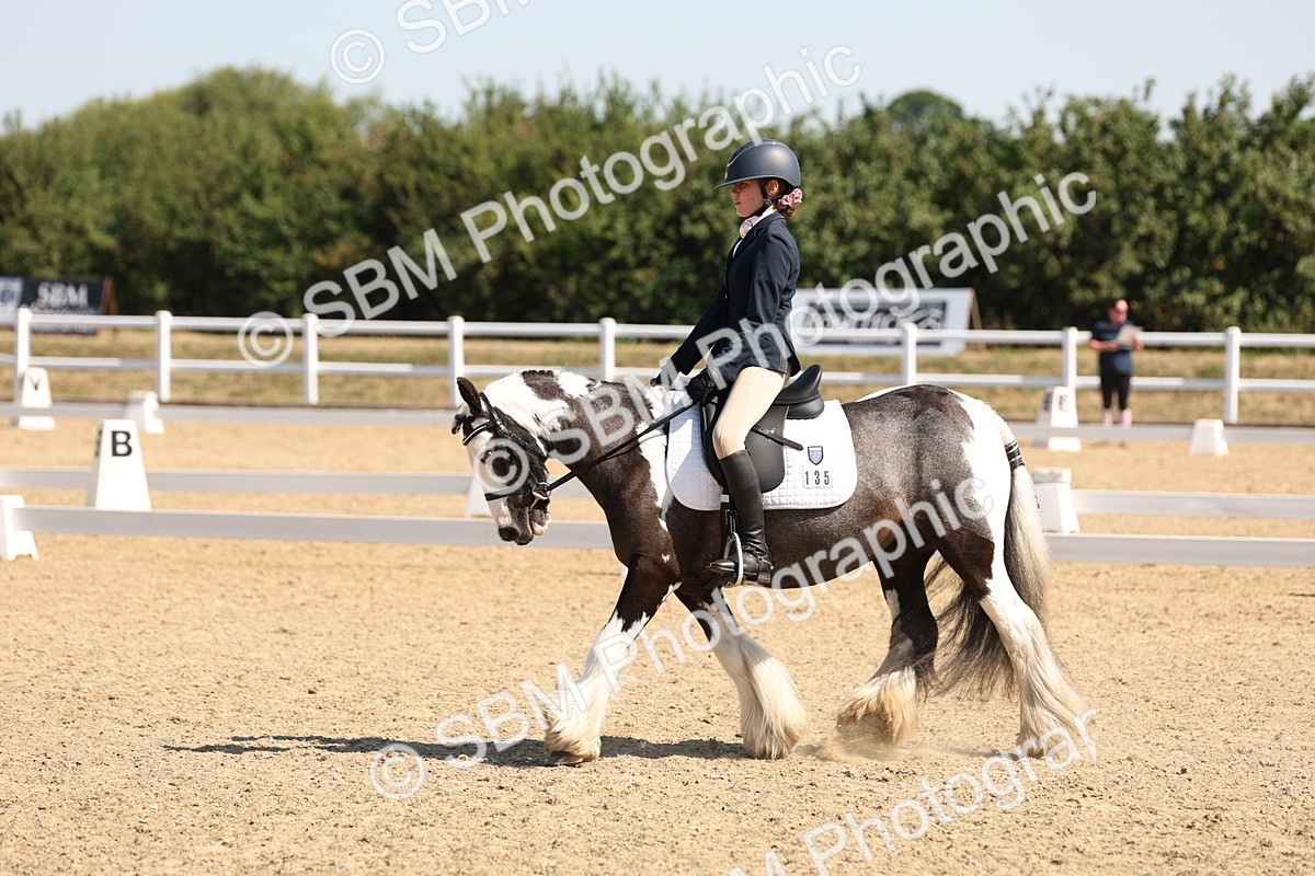 SBM_001071 - Intro 2