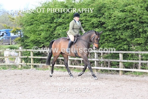 BPP_6952 - RING 1  (RIDDEN HORSES / IN HAND / VETERAN ETC)