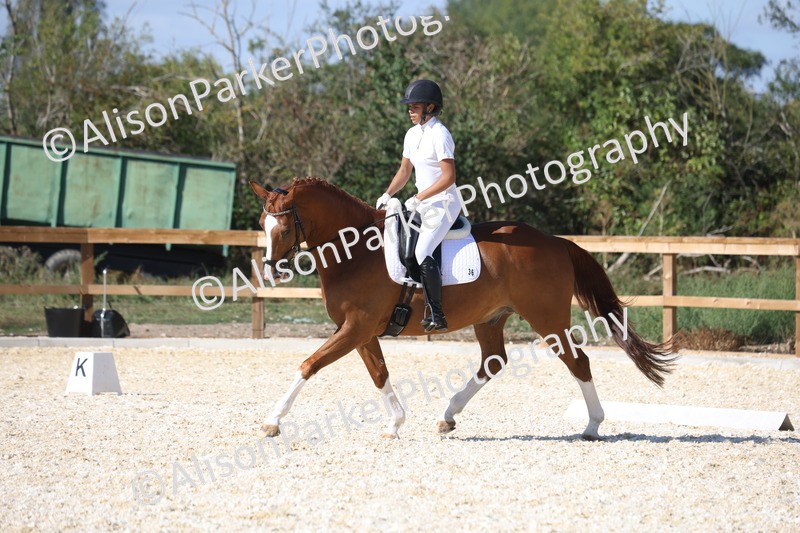 20260905-1536 - Class 5 - Novice 2