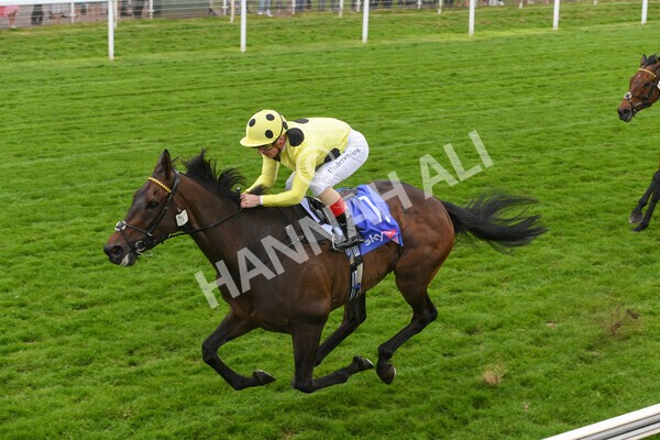 yr11062022r4-16 - Race 4 3.05pm Sky Bet Grand Cup