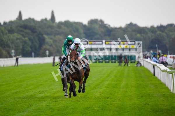 100923-Race 3-Yorkindness-0618 - Race 3 2.45pm Fine Details Vehicle Valeting Handicap